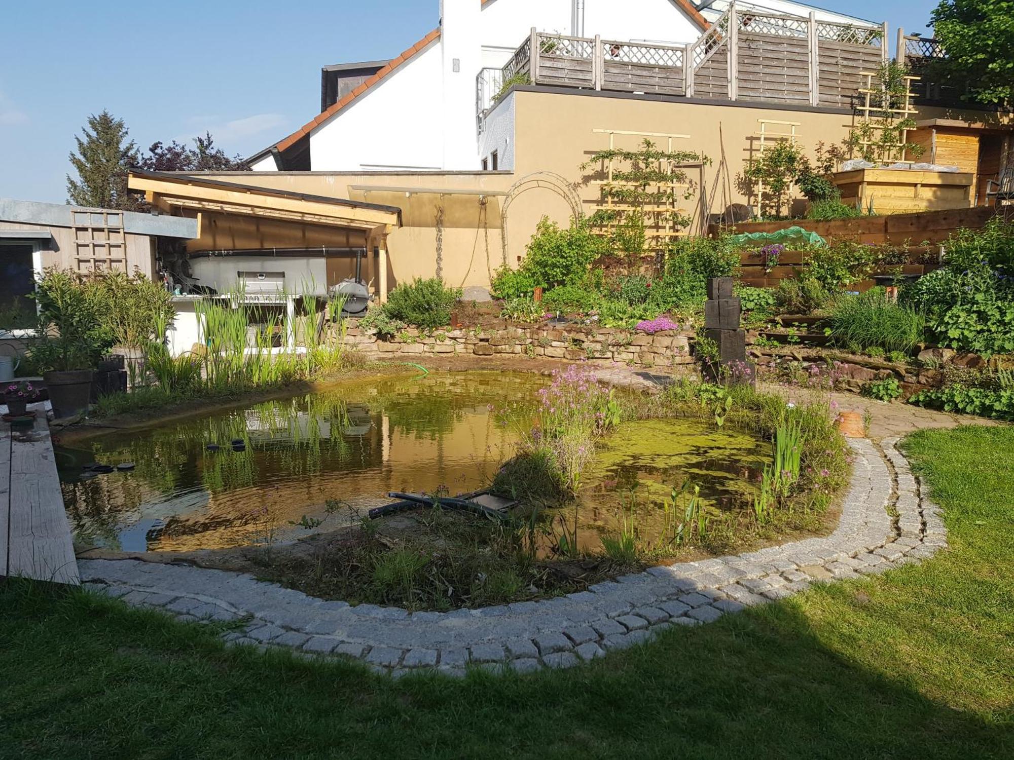 Wohnung Mit Sauna, Garten & Schwimmteich Bietigheim-Bissingen Exterior foto
