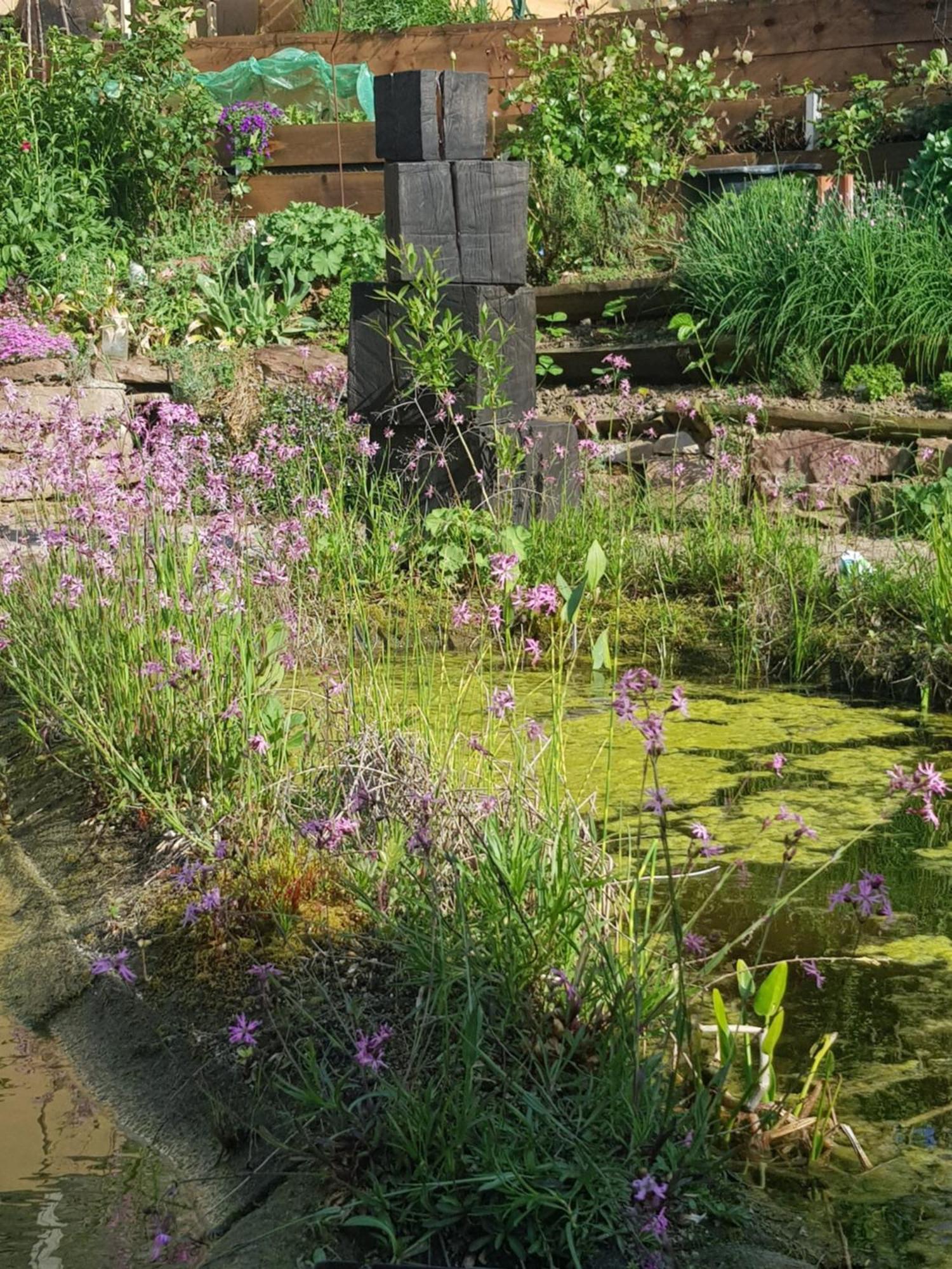 Wohnung Mit Sauna, Garten & Schwimmteich Bietigheim-Bissingen Exterior foto