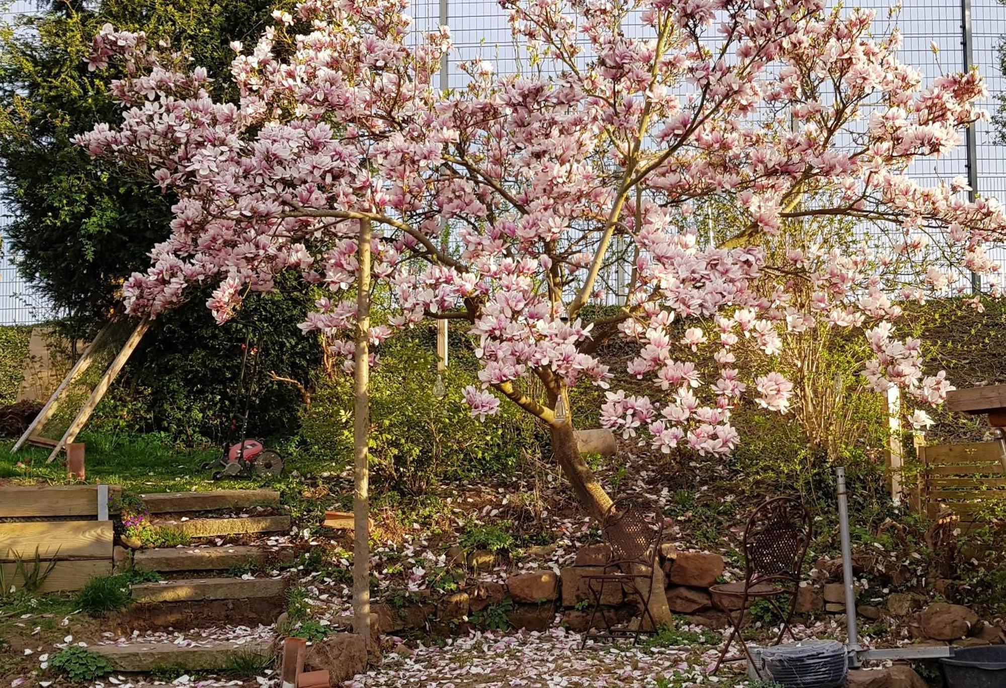 Wohnung Mit Sauna, Garten & Schwimmteich Bietigheim-Bissingen Exterior foto